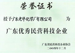 廣東省優秀民營科技企業